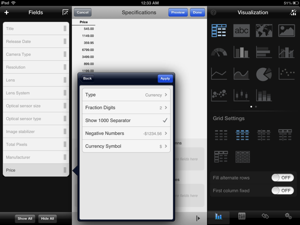 ReportPlus_FieldSettings