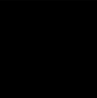 Linear gauge on a form.