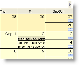 images\WebSchedule Features WebMonthView 01.png