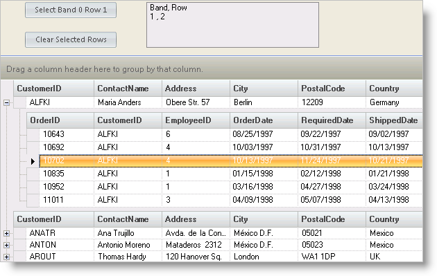 working with selected rows in ultragrid