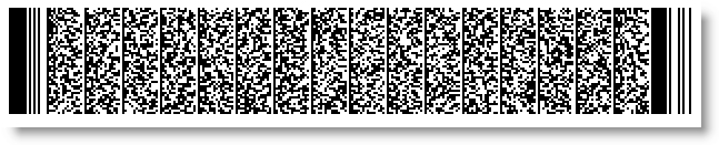 xamBarcode XamPdf417Barcode 06.png