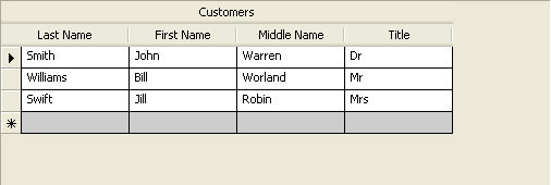 windatasource designer data entry area