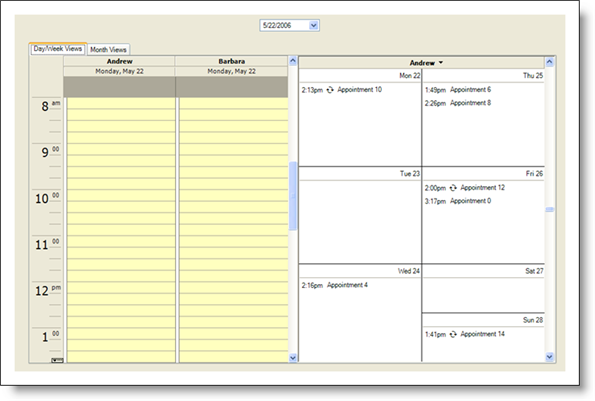 The Schedule Canvas as it appears in WinAppStylist.