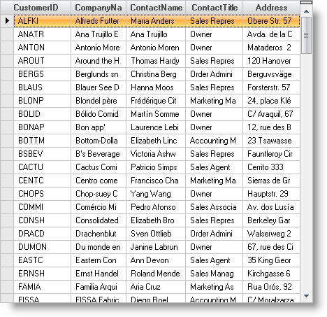 auto sizing ultragrid columns and rows