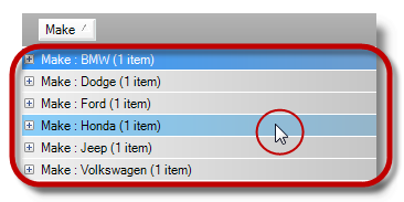 WinGrid HotTracking Grouped Rows 1.png