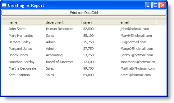 WPF Reporting Creating a Report 01.png