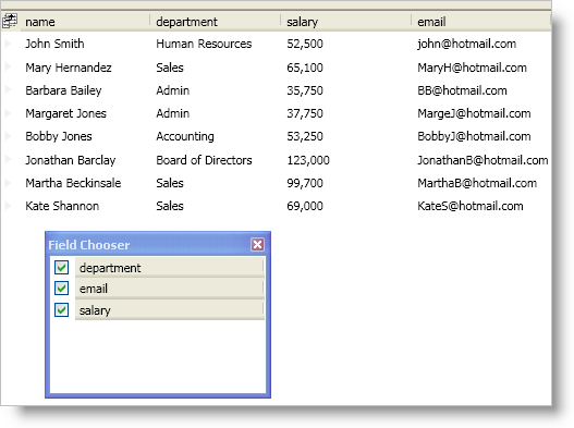 xamDataPresenter Prevent Fields from Being Hidden 01.png