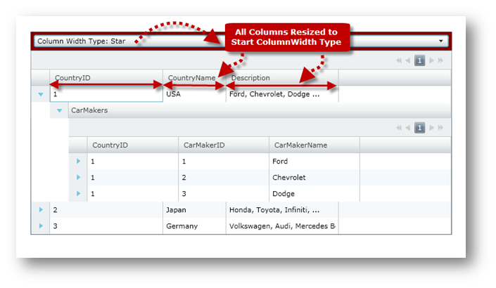 xamGrid Change Column Width Settings 01.png