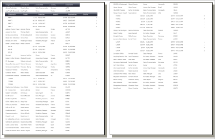 xamData Repeat Field Headers on All Pages 02.png