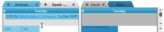 xamSchedule dayView resizing area 1.png